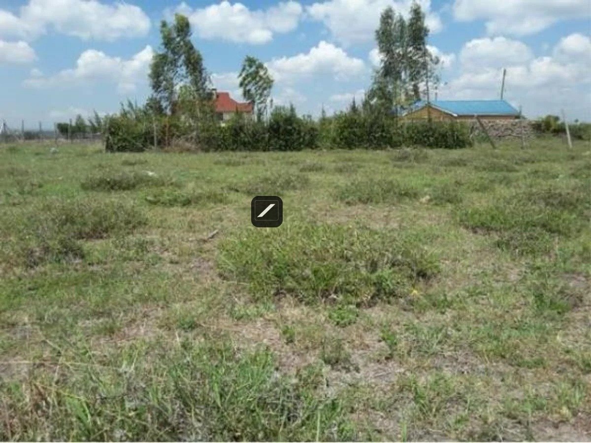 imgi_9_B40C58C4C2AAEA64C3E7C3B59F5325F3