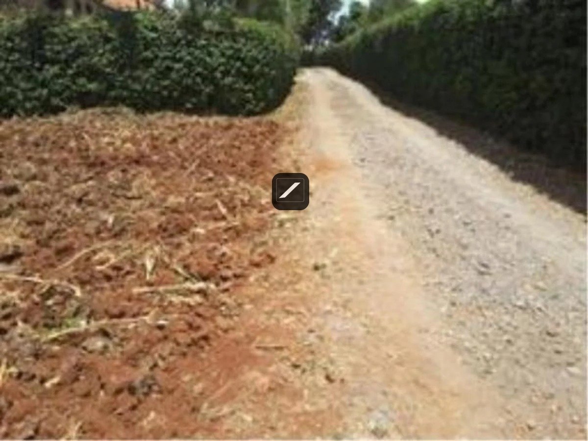 imgi_9_D6F57826552B77FB3469E3C294EB56B6